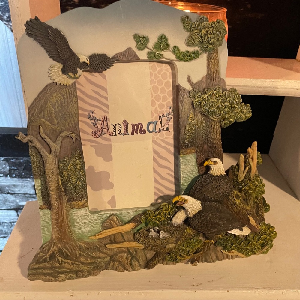 Eagles Picture Frame Scenic Nature‎ Animals Decorative Home Decor 4x 6